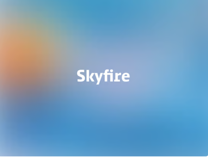 ‘AI 시대의 비자카드’, 금융 AI 에이전트 Skyfire