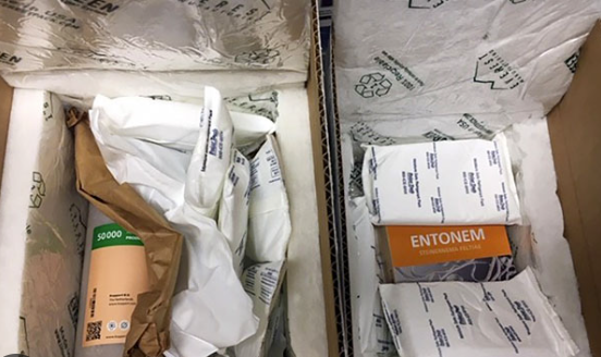 콜드체인의 역설: 생명을 지키는 포장이 환경을 죽인다