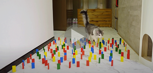 2020년 상반기 유튜브 트렌드 총결산