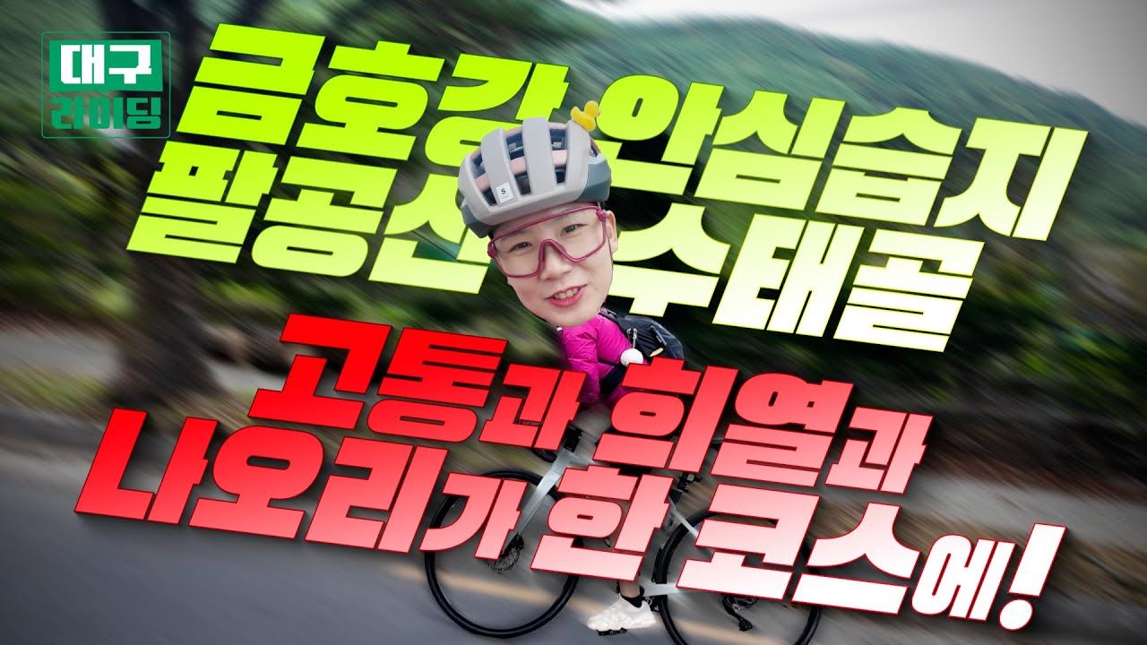 [2025년 11월 2주] 지자체 ㅣ 여전히 일반영상의 영향력이 강한 지자체입니다