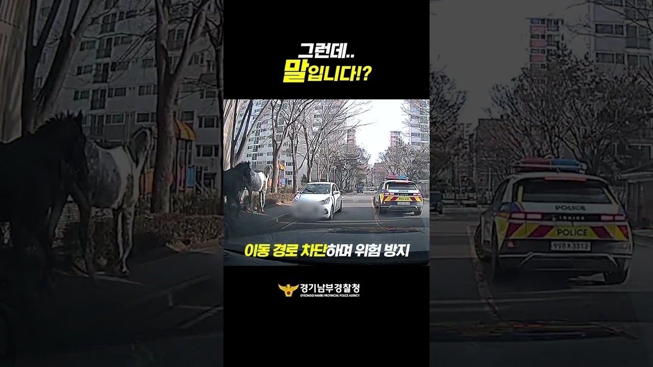 [2025년 12월 2주] 중앙 ㅣ 그런데 말입니다... 진짜 말이 등장했다?