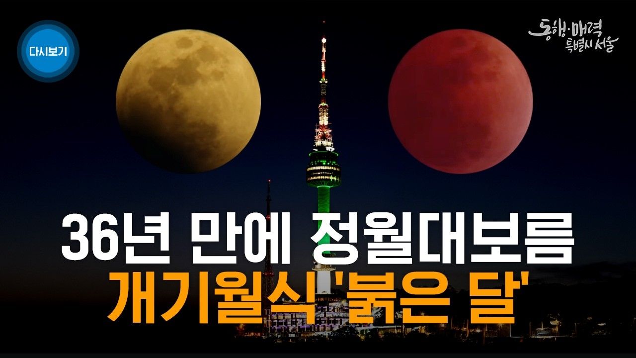 [2026년 3월 1주] 지자체 ㅣ 서울시의 개기월식 라이브 2시간 영상에 32만 조회수 몰렸다?