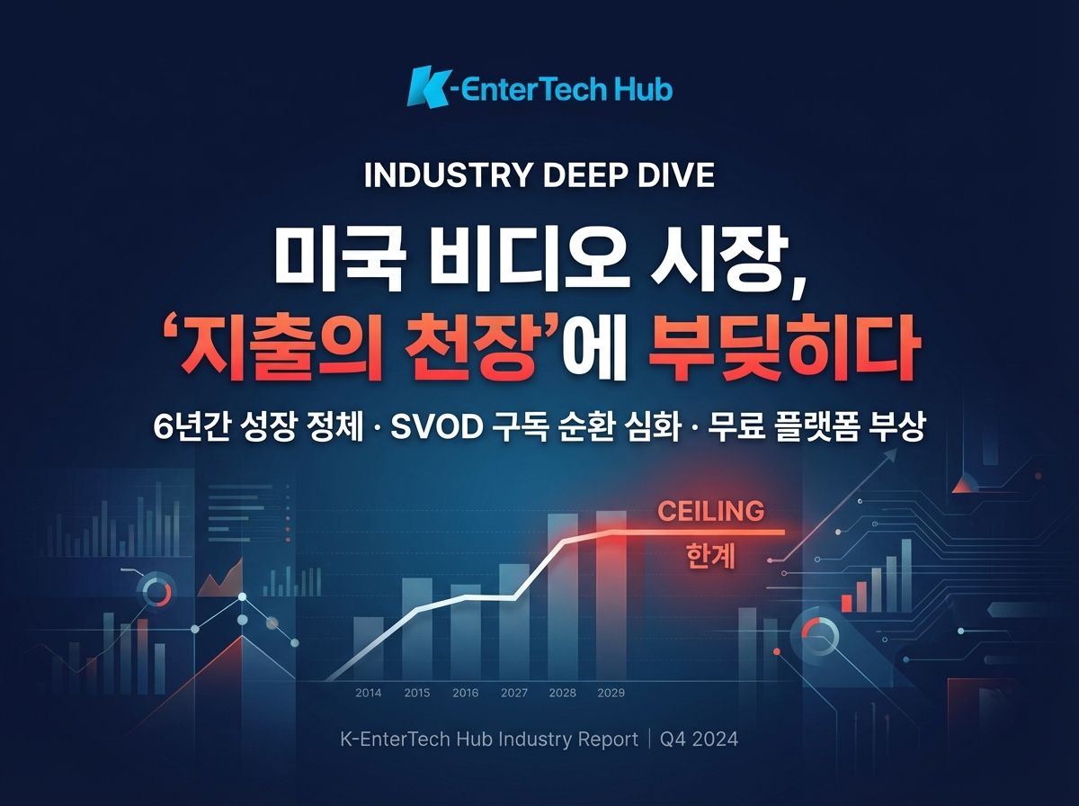 미국 비디오 시장 분석