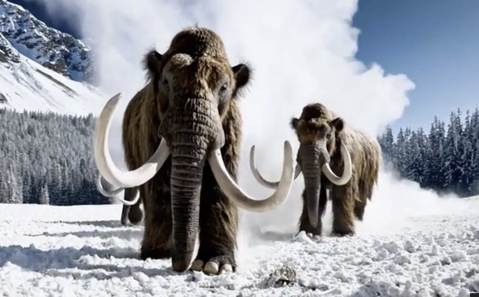 OpenAI, Sora 전격 종료…디즈니 10억 달러 투자도 함께 백지화