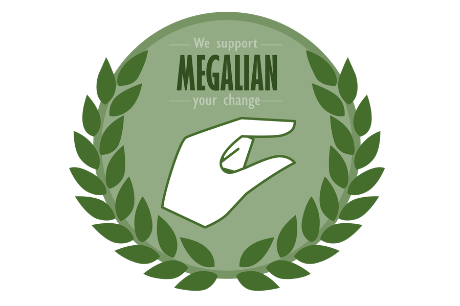 Megalia: South Korean Feminism Marshals the Power of the Internet