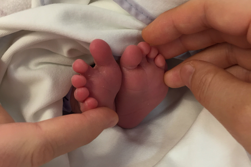 The Babariums of Jeolla