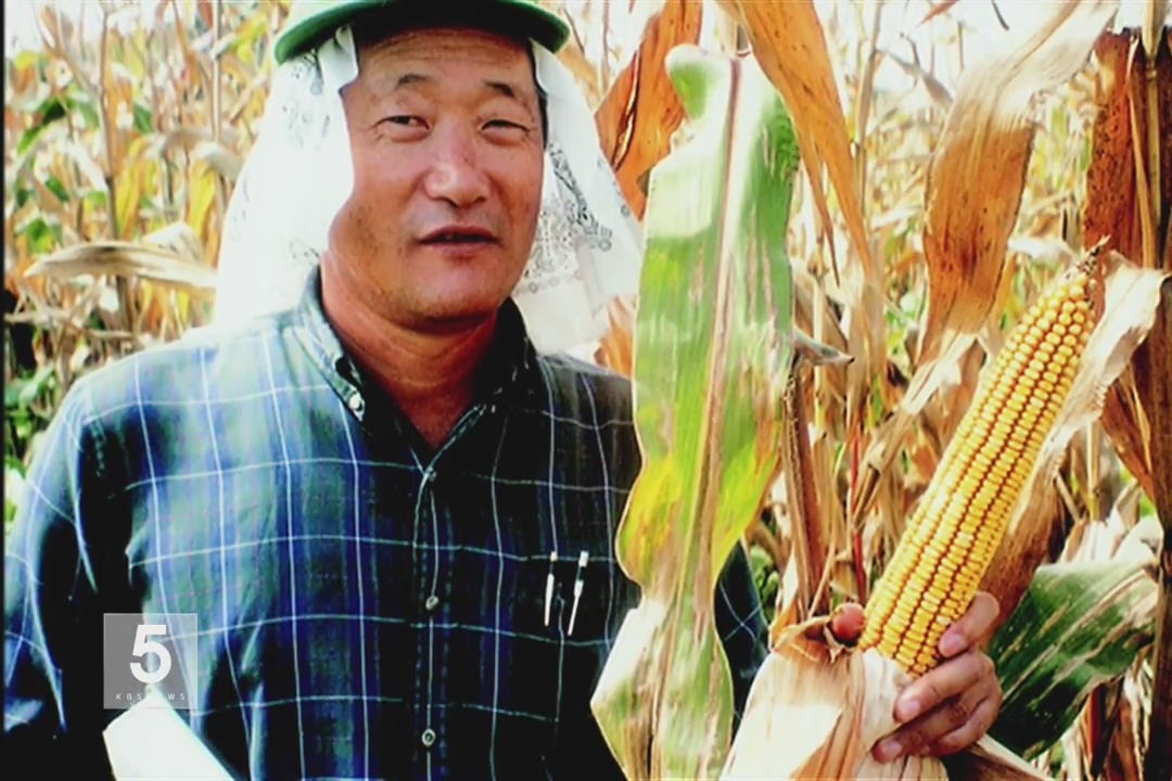 A-maizing Ambition: "Dr. Corn" Runs for South Korean Presidency