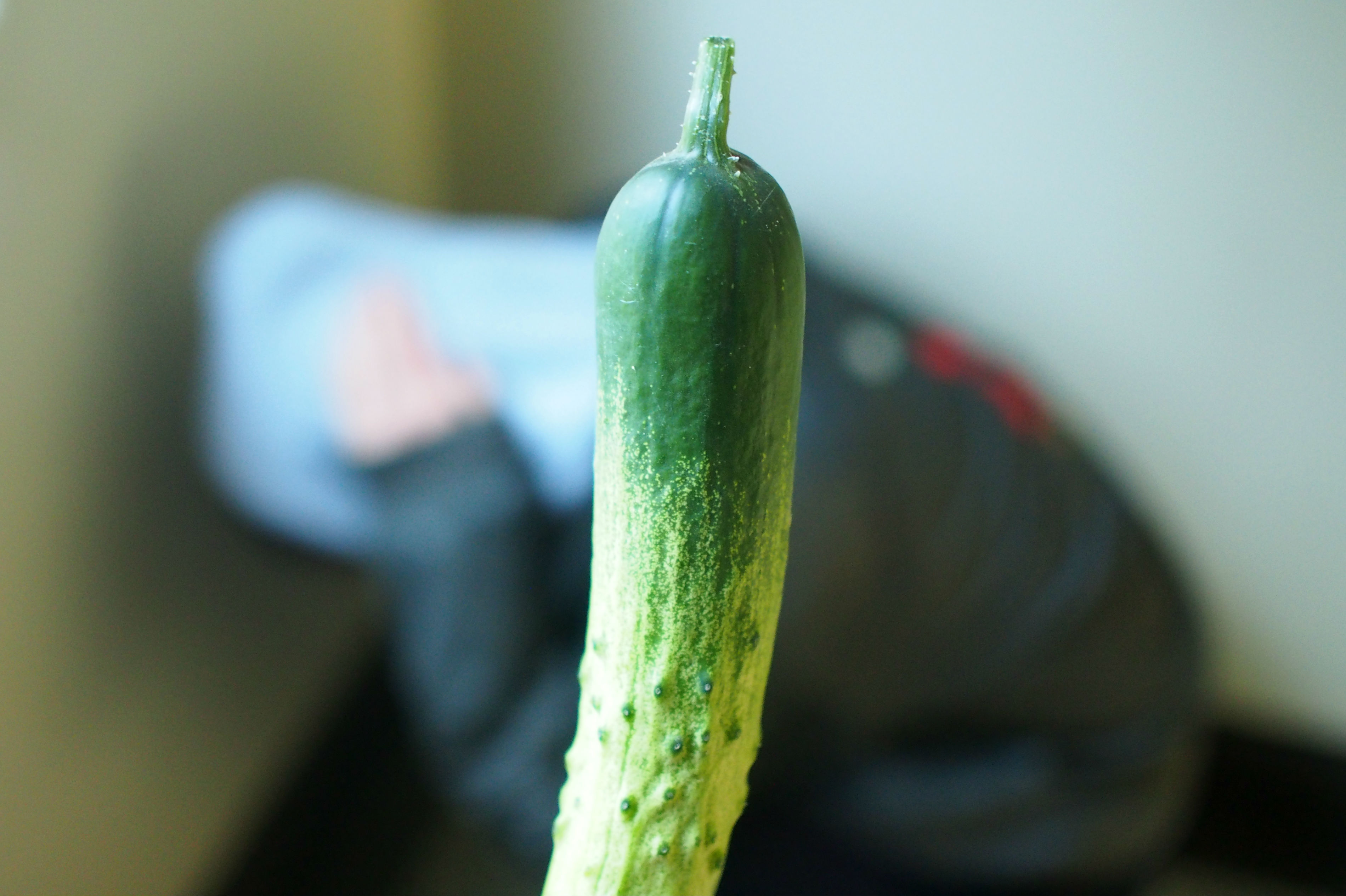 Vegetable Rage Hits South Korea as Cucumber Haters Revolt