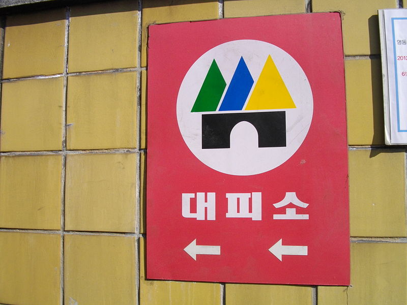 In Case You Are Curious: S Korea's Wartime Plan for Citizens