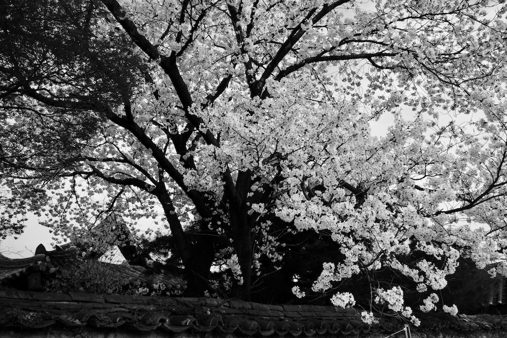 Less Than an Hour After We Met, She Told Me She Was Committing Suicide