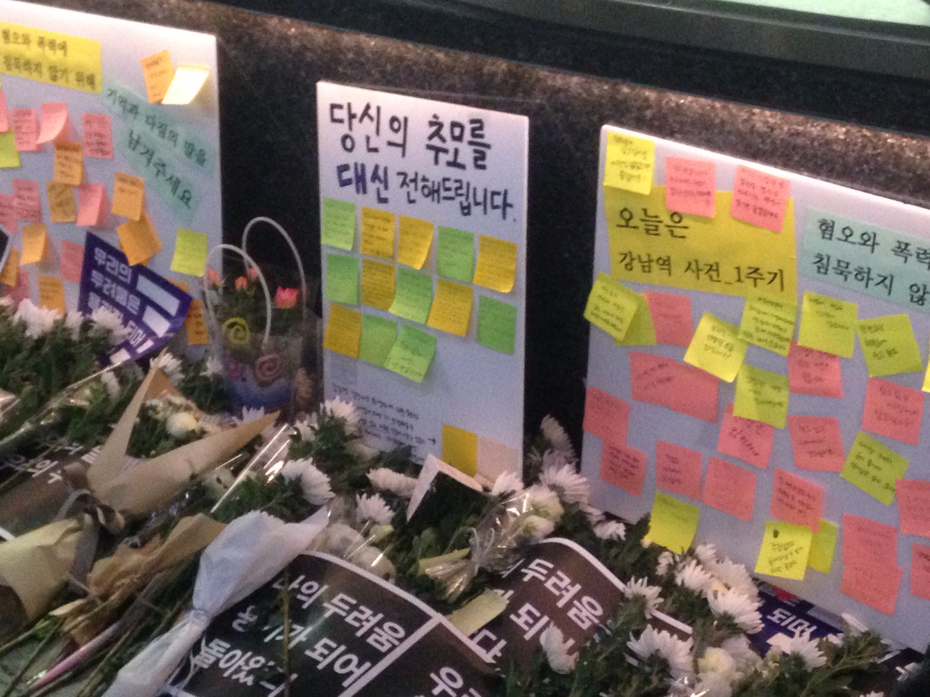 50,000 Won for Loose Dogs, Public Smoking, and Death Threats