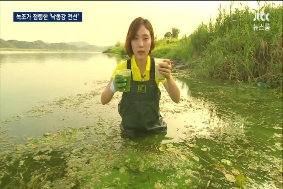 Four Rivers Project: Explained