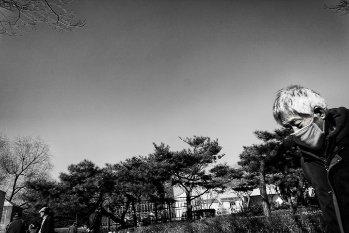 The Old Man’s Harbor