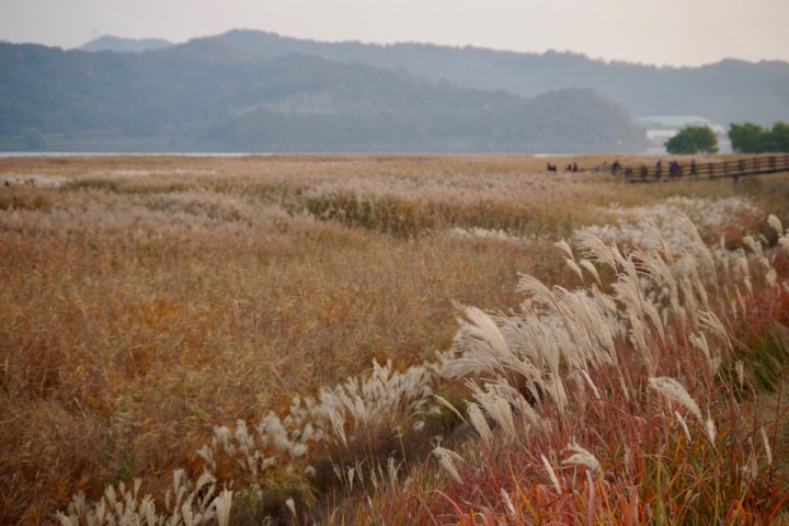 Seocheon: Overlooked, All the More Authentic