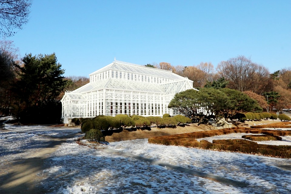 The Palace's Painful Past