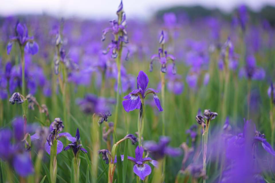 Korea Exposé Went to Gyeongju for MT...