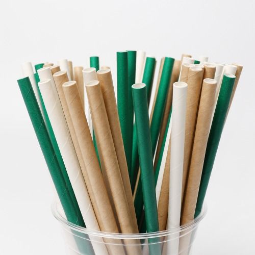 우리가 하고 있는 건 진정한 환경 보호일까?