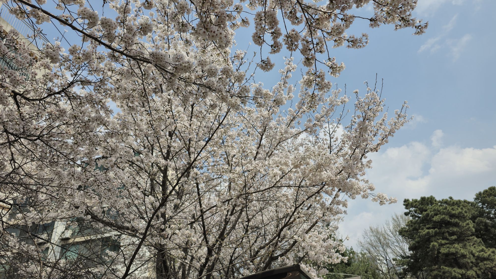 3월, 다시 피어나는 우리의 시간