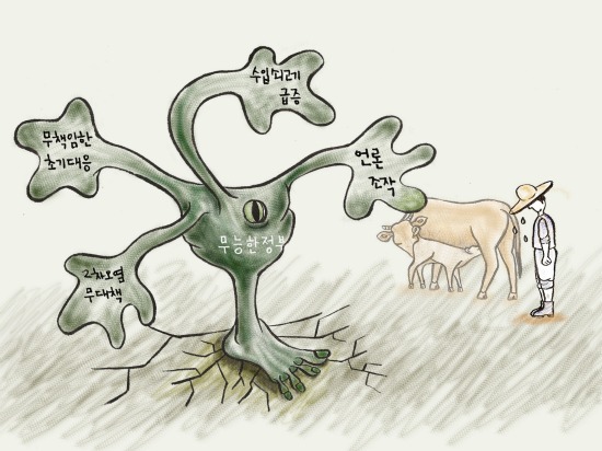 쌓여가는 구제역 가축, 휘청거리는 축산업