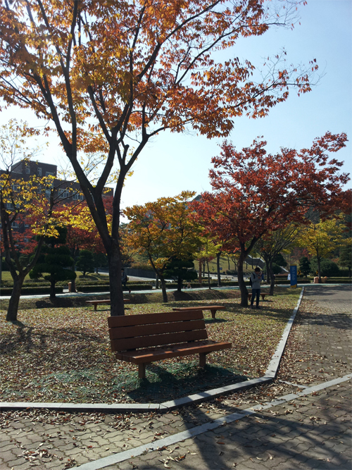 늦은 가을, 마음의 여유를 찾는 그대에게