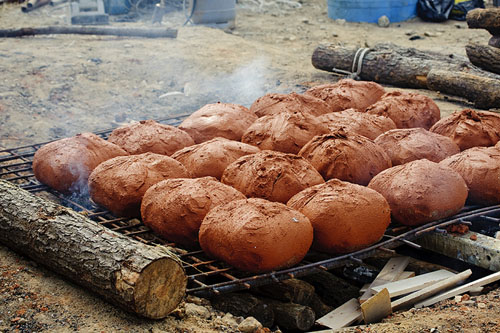 천방지축 일상탈출 완주 와일드푸드 축제