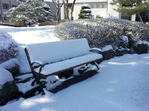 눈이 오면 생각나는 그 이야기