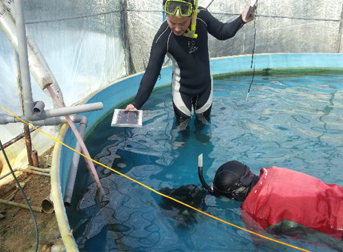 어류 연구팀, 해양수산부와 함께 상어 퇴치기술 개발