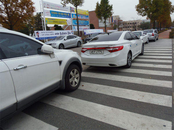 이러라고 설치한 횡단보도가 아닐텐데요?