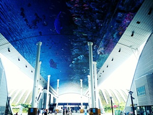 Account of train travels for five nights six day