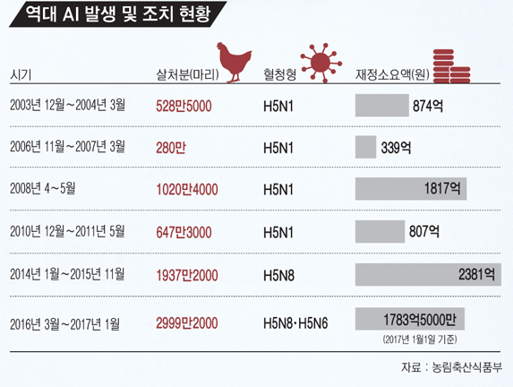 고병원성 조류 인플루엔자(AI) 사태