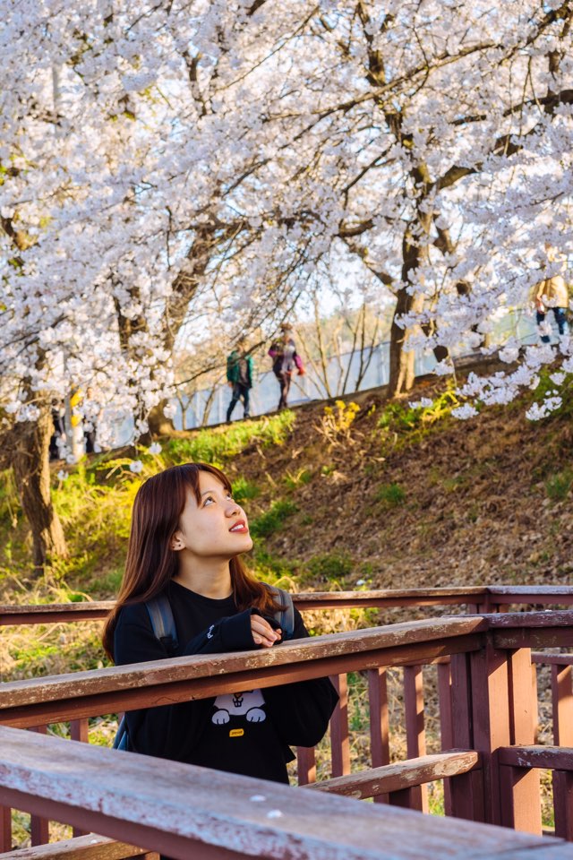 An Interview with a Foreign Student, Linh