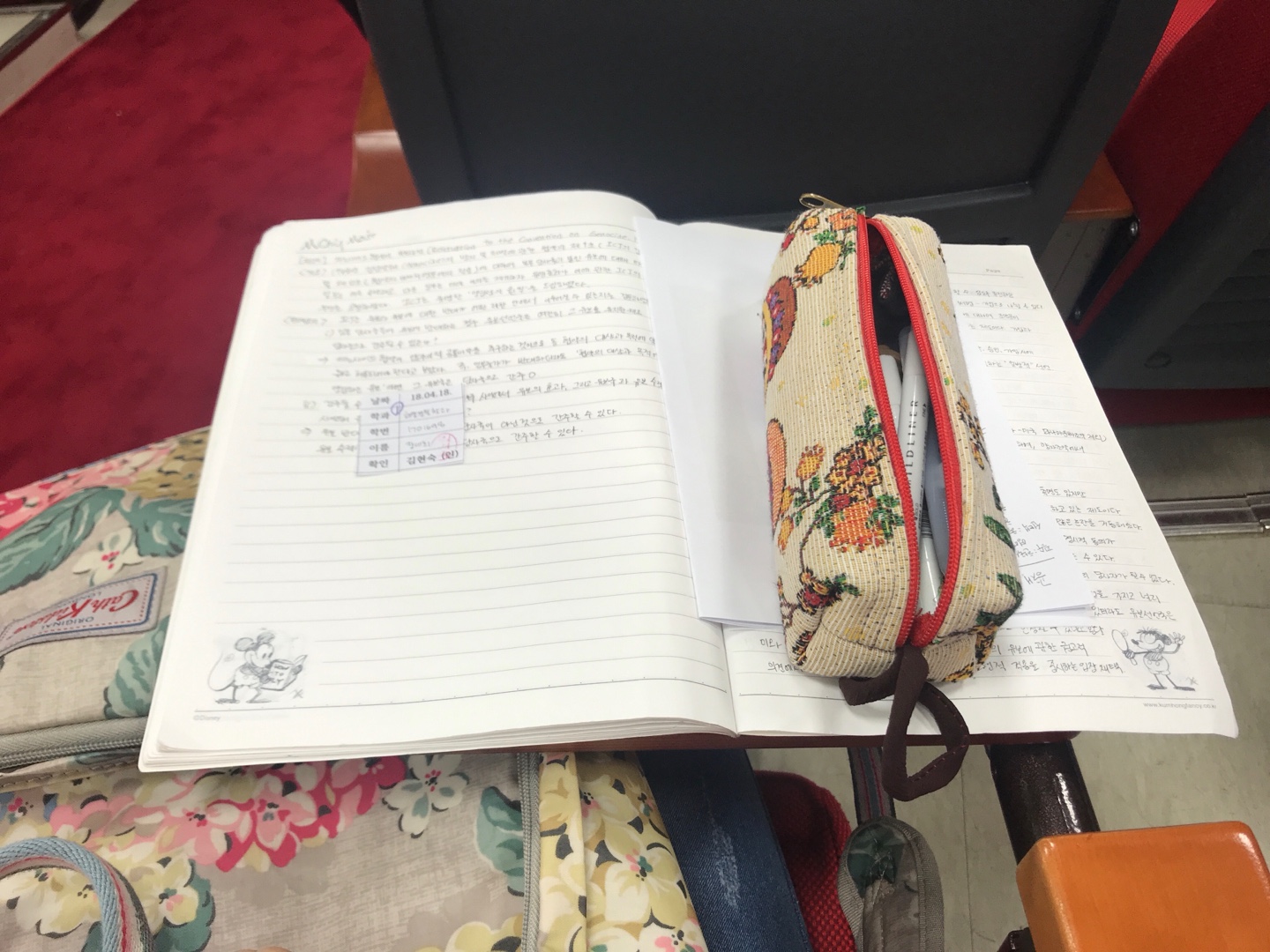 이 구역의 집순이 나야 나