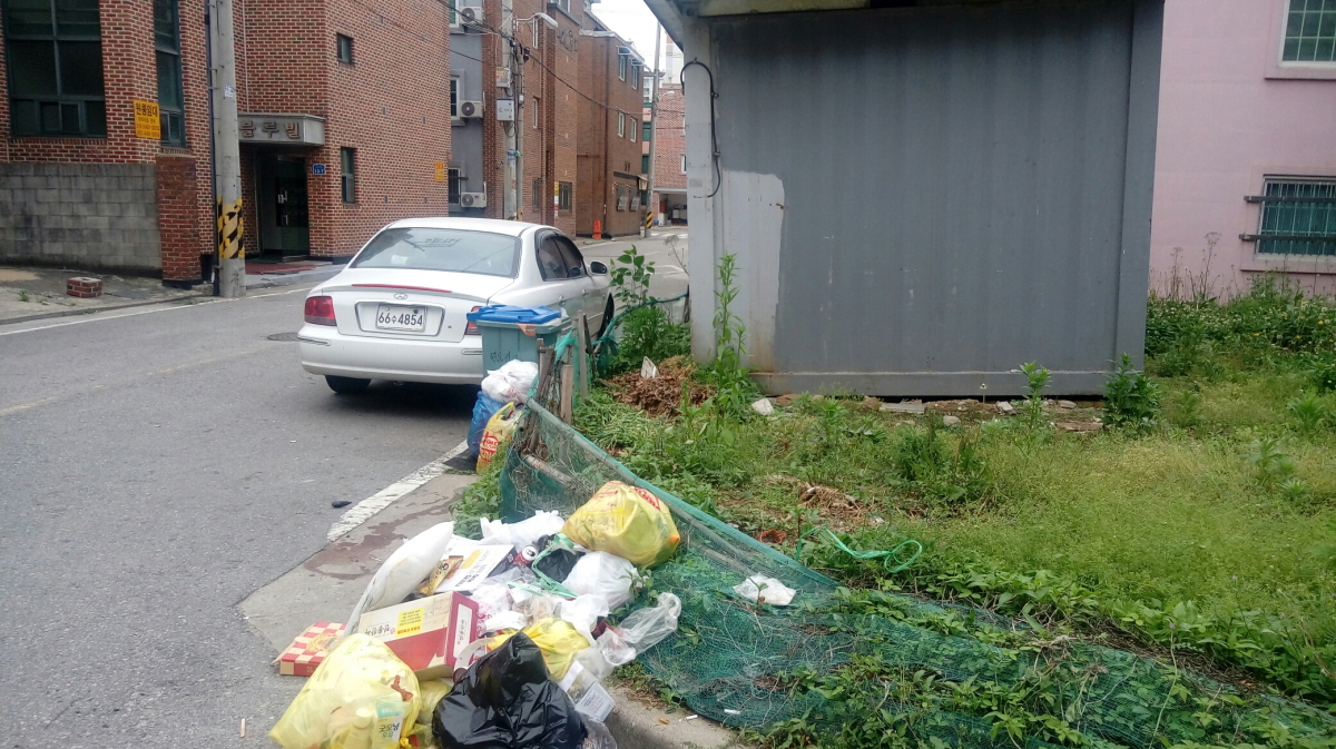 걸으면 보이는 쓰레기, 종량제 봉투 없는 원룸촌