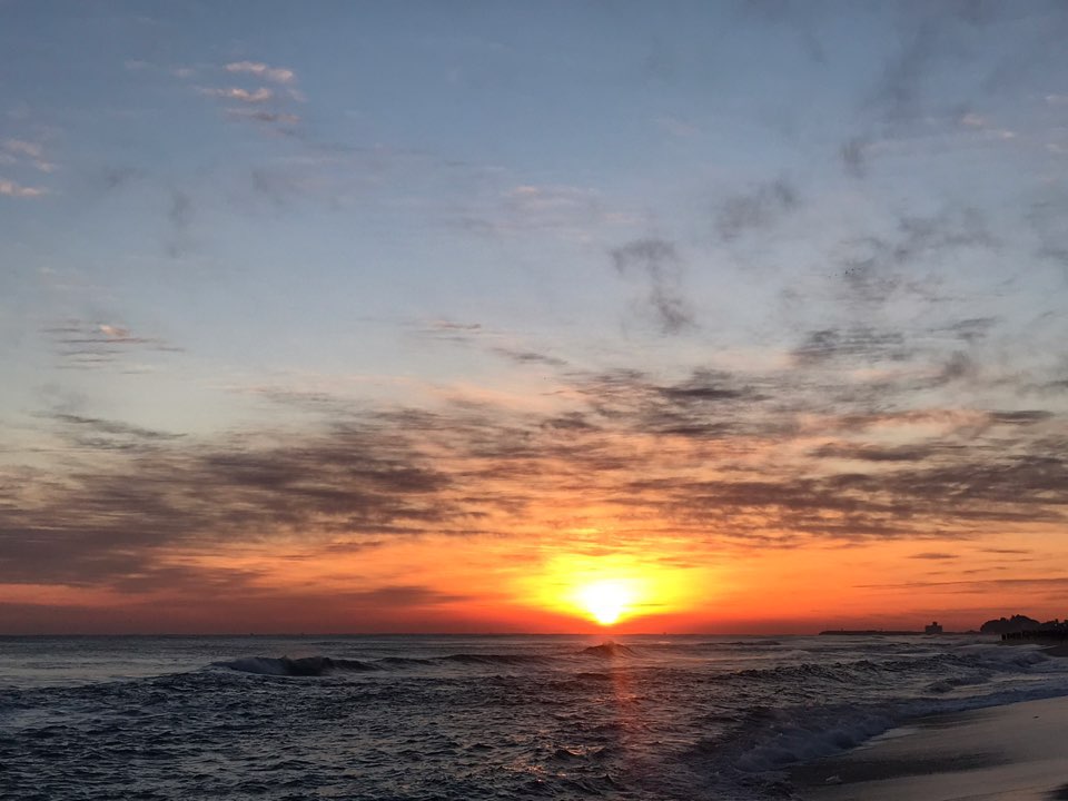 새해 福 많이 받으세요!