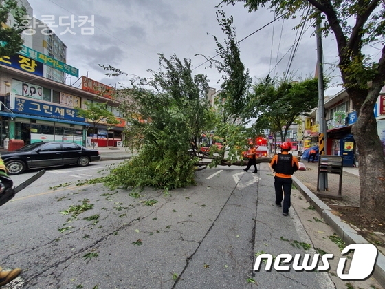 한반도에 불어 닥친 태풍 ‘링링’