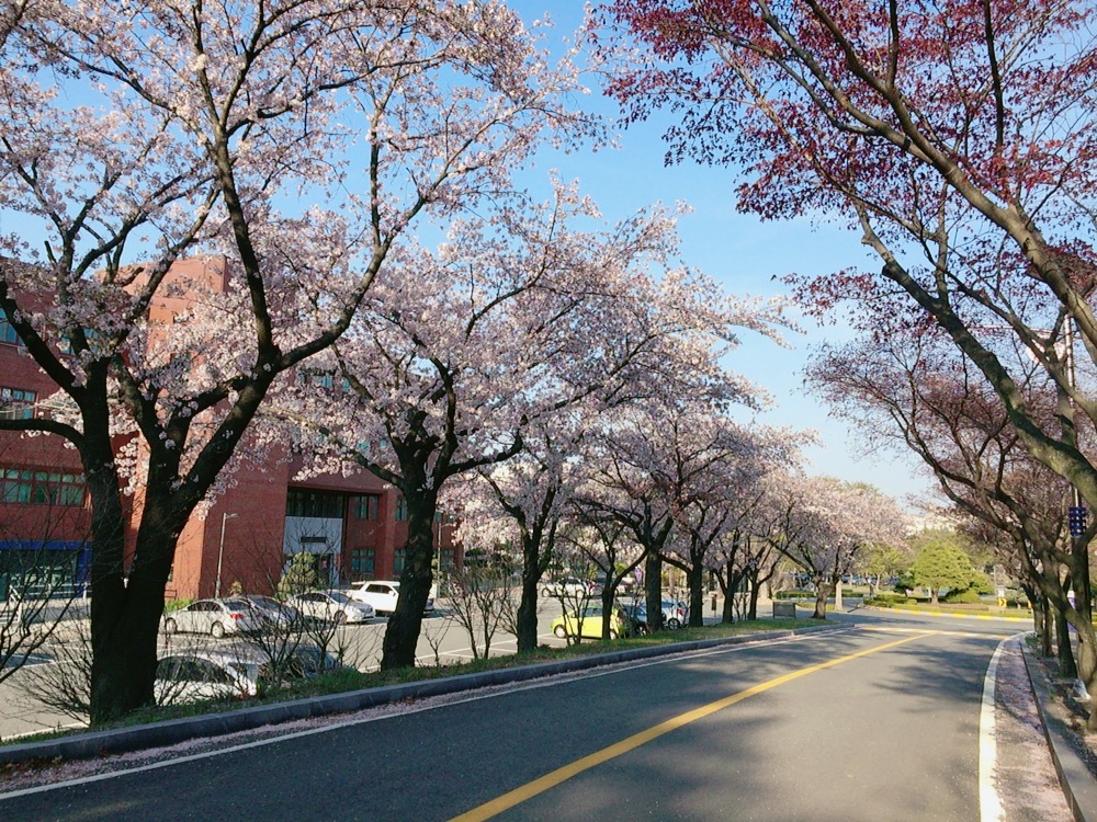 우리 대학 속 ‘낭만의 공간’