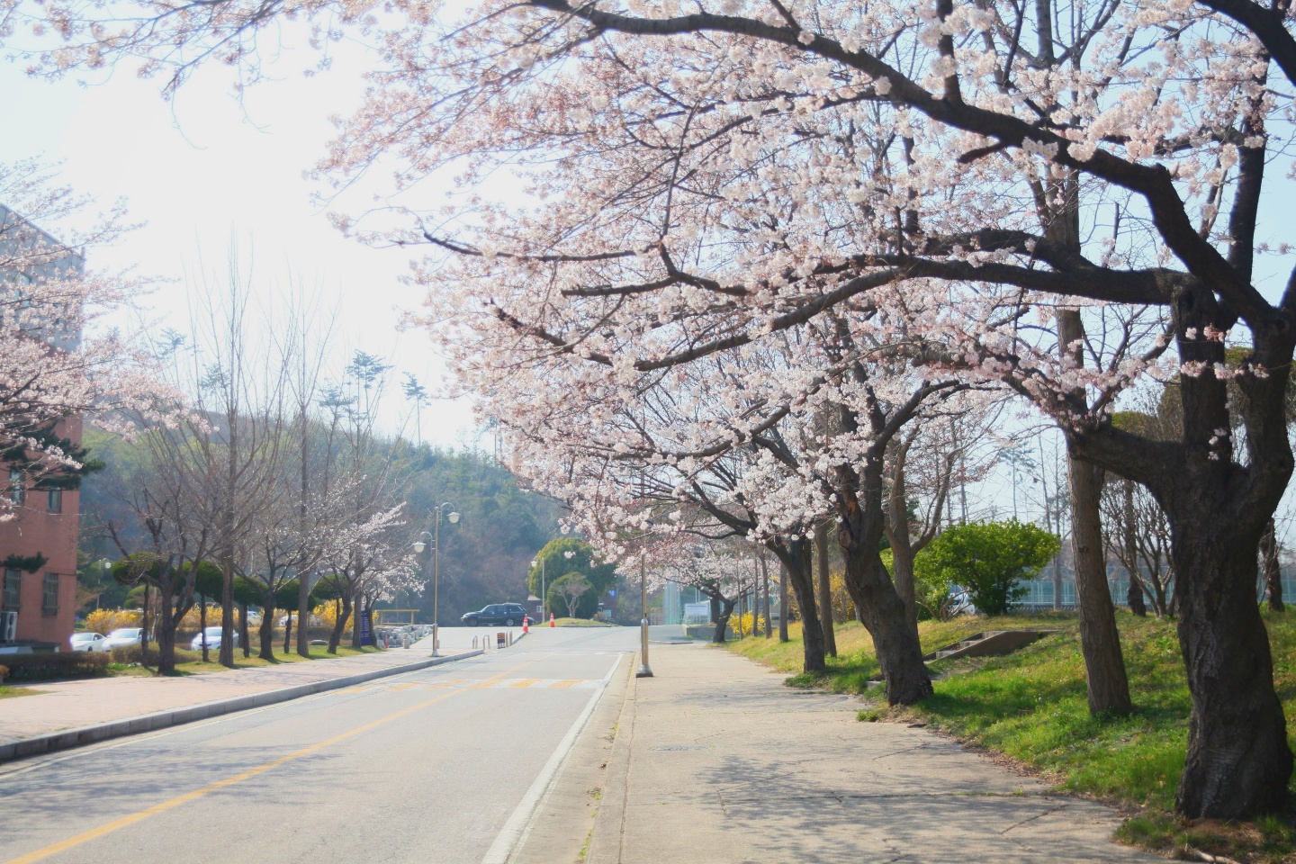 사상 첫 4월 등교 예정, 앞으로의 일정은?