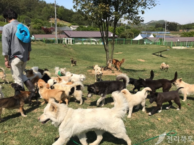 군산 유기동물보호소의 고충, 극복을 위한 노력