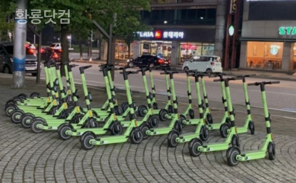 지쿠터 도입 이후 2년, 전동 킥보드 현황