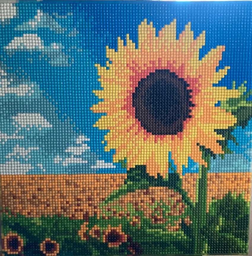 Let’s find hobbies for the Covid-19 Epidemic