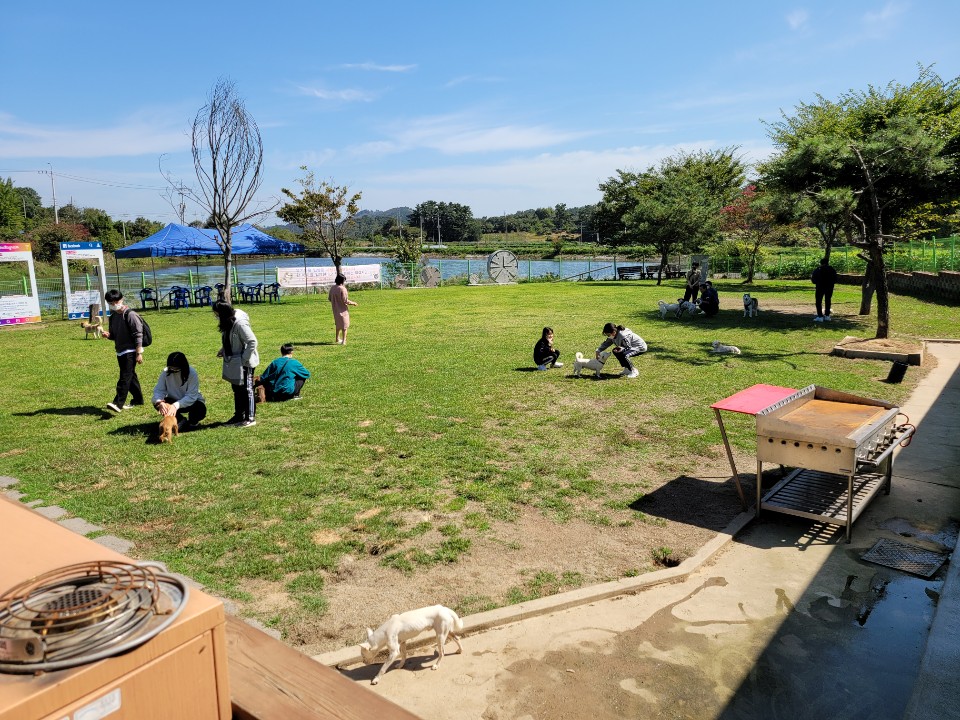 ‘유기 동물의 천국’ 군산유기동물보호소의 현 실태