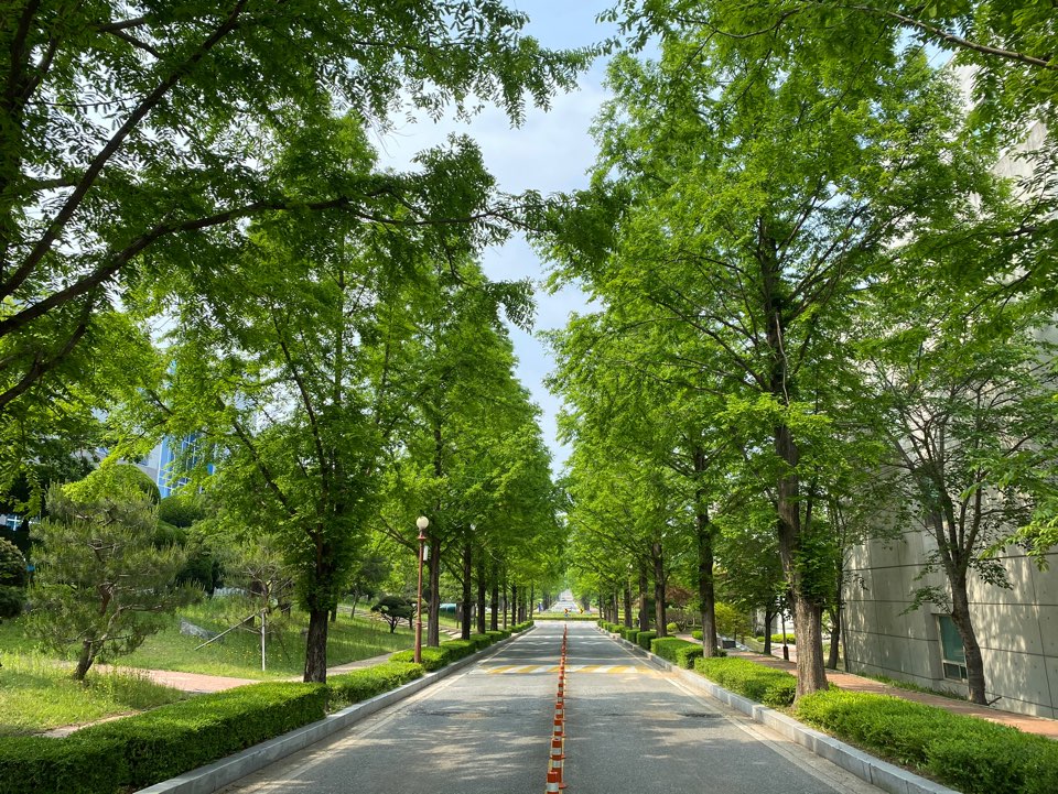 Our University Trail and Cultural Space