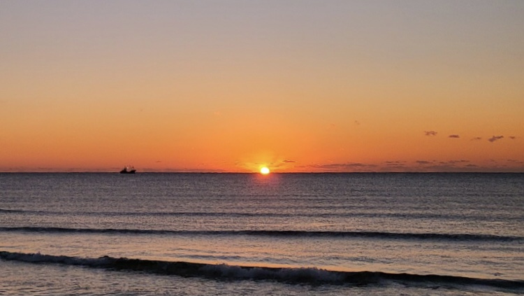 우리 대학의 2022년, 호랑이의 기운처럼 힘찬 한 해 되길