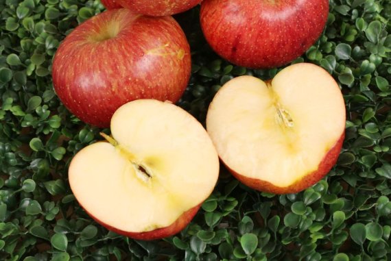 환경을 지키는 못난이 농산물의 재탄생