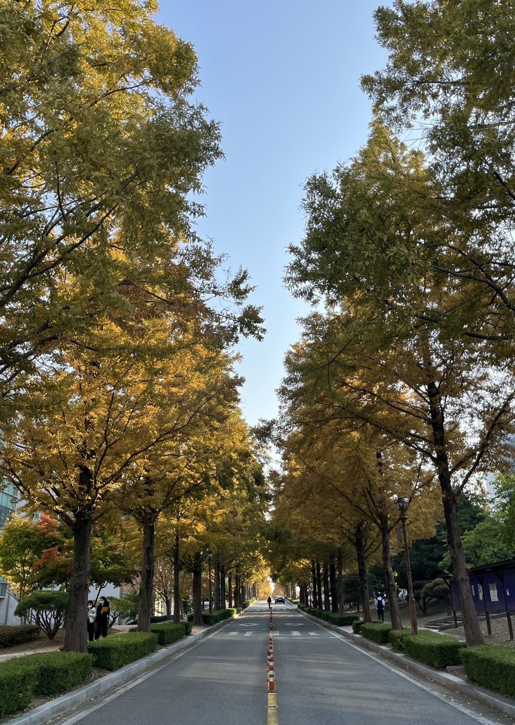 가을 감성, 군산시 동네 책방 추천!