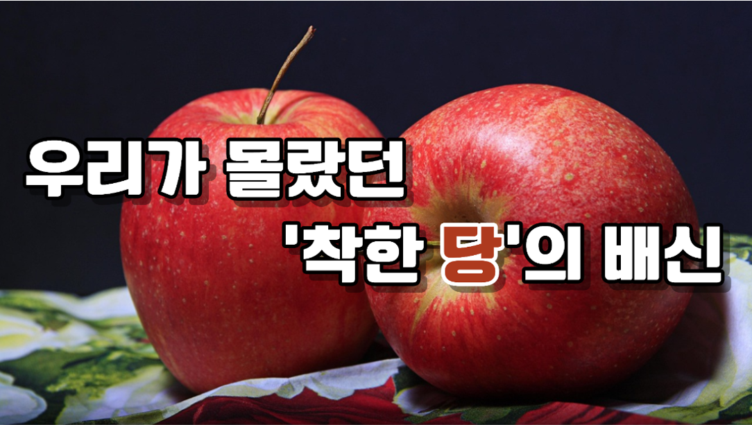 한국인이 가장 많이 섭취하는 에너지원은?