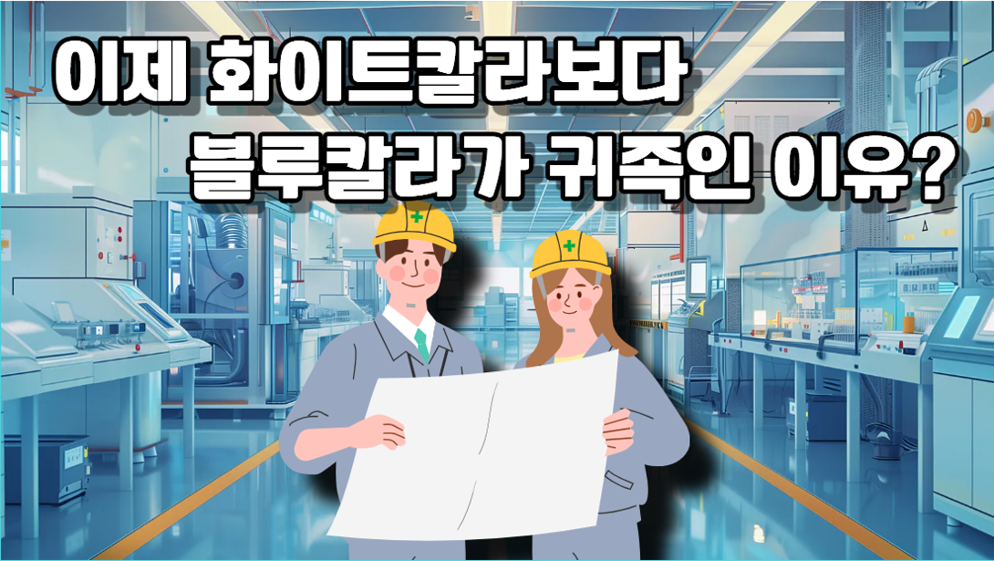 블루칼라 직업이 뜬다!