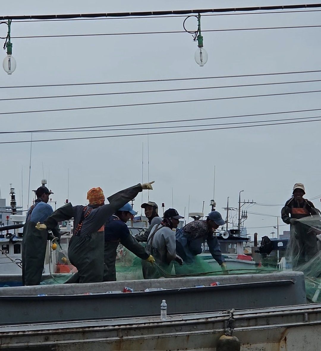 🌊진정한 Sea of Love 외국인 노동자의 유쾌한 그물 춤