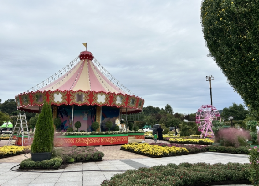 🌼 2025 대한민국 국향대전 함평에서 열려🌼