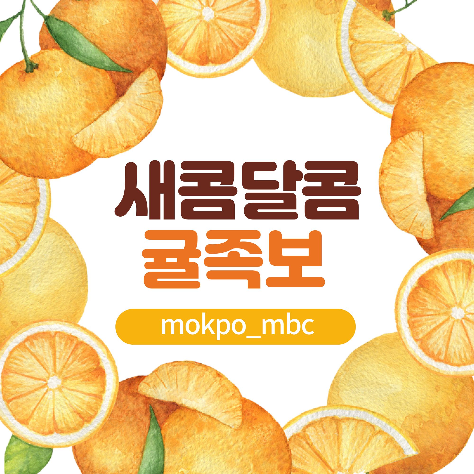 감귤 가문의 계보🍊